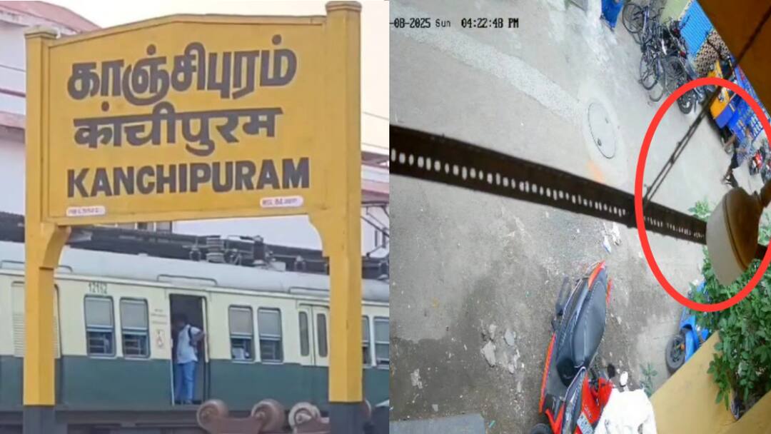 காஞ்சிபுரம்: தெரு நாயின் அட்டகாசம்! 7 பேரை கடித்ததால் மக்கள் பீதி! மாநகராட்சி நடவடிக்கை எடுக்குமா?