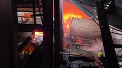 સુરત નજીક ભીષણ દુર્ઘટના: પલસાણાની ટેક્સટાઇલ મિલમાં પ્રચંડ બ્લાસ્ટ અને આગ, 2 લોકોના મોત અને 22 ઇજાગ્રસ્ત