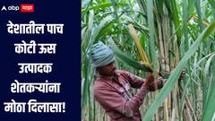 देशातील पाच कोटी ऊस उत्पादक शेतकऱ्यांना मोठा दिलासा! सर्वोच्च न्यायालयानं दिला महत्वपूर्ण निर्णय 