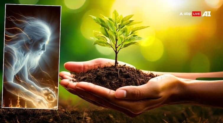 पितृ पक्ष में लगाएं ये पौधे, पितृ होंगे प्रसन्न, मिलेगा आशीर्वाद पितृ पक्ष में लगाएं ये पौधे, पितृ होंगे प्रसन्न, मिलेगा आशीर्वाद