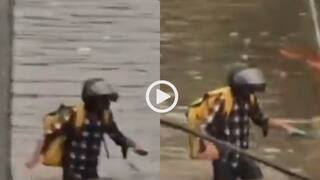 Video: पापी पेट का सवाल है! कमर तक पानी, जान जोखिम में डाल डिलीवरी करने पहुंचा युवक, वीडियो वायरल