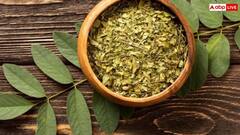 बासी मुंह चबाएं ये फ्री में मिलने वाला पत्ता, कोलेस्ट्रॉल से लेकर शुगर रहेगा कंट्रोल