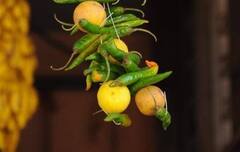 ધંધામાં સફળતા માટે મંગળવારના દિવસે કરો લીંબુનો આ ઉપાય, જાણો અન્ય લાભ