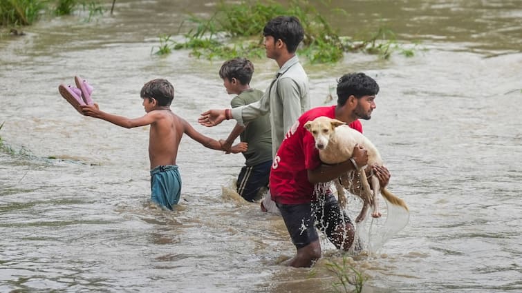 उत्तराखंड में भारी बारिश और भूस्खलन का कहर: जनजीवन अस्त-व्यस्त, 384 सड़कें बंद
