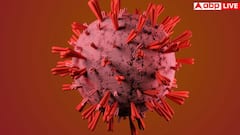 कैंसर से भी खतरनाक होती है यह बीमारी, बोन मैरो ही बन जाता है कब्रिस्तान