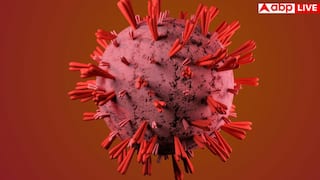 कैंसर से भी खतरनाक होती है यह बीमारी, बोन मैरो ही बन जाता है कब्रिस्तान