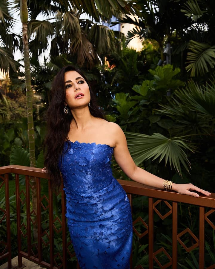 In this picture, Katrina is wearing a Royal Blue off-shoulder gown. The gown has a threeD floral detailing look. His stunning look was completed with open wavy hair, drop earrings and gold bangles.