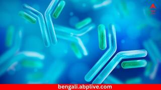 Brain Eating Amoeba: হু হু করে বাড়ছে মস্তিষ্ক কুরে কুরে খাওয়া অ্যামিবার সংক্রমণ ! পরপর ৩ জনের মৃত্যু কেরালায়, ছাড় পায়নি ৩ মাসের শিশুও
