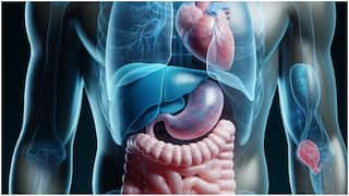 Fatty Liver : కాలేయంలో కొవ్వు పెరగడానికి కారణాలు.. సహజంగా తగ్గించగలిగే టిప్స్ ఇవే