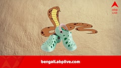 গুটিশুটি মেরে বসেছিল, জুতোয় পা গলাতেই ছোবল, সাপের কামড়ে বেঘোরে মৃত্যু TCS কর্মীর