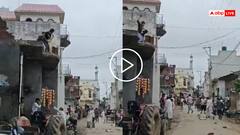 Video: 300 रुपए को लेकर सड़क पर महाभारत! महिलाओं ने बरसाए पत्थर, यूपी का वीडियो वायरल