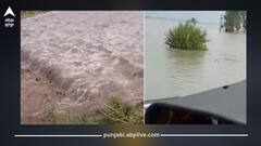 Flood in Punjab: ਪੰਜਾਬ ਤੋਂ ਅਜੇ ਨਹੀਂ ਟਲੀ ਆਫਤ! ਮੌਸਮ ਵਿਭਾਗ ਵੱਲੋਂ ਰੈੱਡ ਅਲਰਟ, ਇਨ੍ਹਾਂ ਇਲਾਕਿਆਂ 'ਚ ਖਤਰਾ