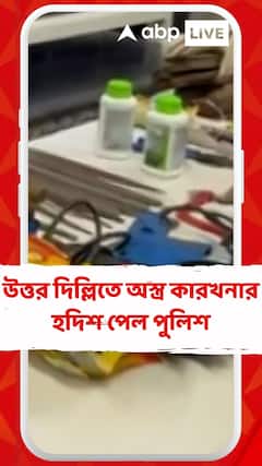 উত্তর দিল্লির সরাই রোহিলা থানা এলাকা থেকে মিলল প্রচুর আগ্নেয়াস্ত্র
