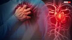 हार्ट ब्लॉकेज खोलने के लिए खाएं ये 7 बीज, दिल का दौरा पड़ने का खतरा भी होगा कम