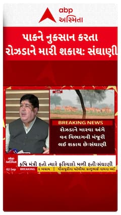 Dileep Sanghani: ખેતરોમાં પાકને નુકસાન કરતા રોઝડા અંગે દિલીપ સંઘાણીનું નિવેદન