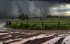 Gujarat Rain Forecast: 4 સપ્ટમ્બરથી થશે નવી સિસ્ટમ એક્ટિવ, ગુજરાતના આ જિલ્લામાં અતિ ભારે વરસાદનું એલર્ટ