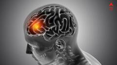 সামান্য হোক বা গুরুতর, মাথায় চোট থেকেও নীরবে বাড়তে পারে ব্রেন ক্যানসারের ঝুঁকি ! গবেষণায় চাঞ্চল্যকর রিপোর্ট