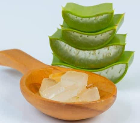 केला और एलोवेरा हेयर पैक: एलोवेरा में एंटीऑक्सीडेंट्स और विटामिन्स होते हैं, जो डैमेज्ड बालों को रिपेयर करते हैं. केले और एलोवेरा का हेयर पैक लगाने से बाल हेल्दी और सॉफ्ट बनते हैं.