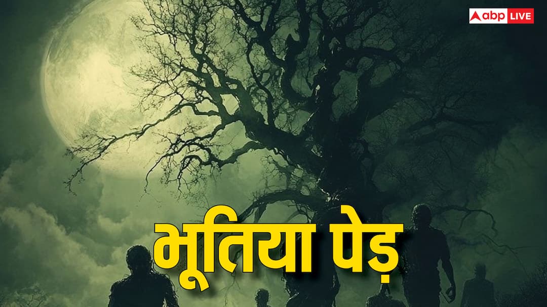 Ghosts Myth or Reality banyan peepal and imli trees place for Bhoot Bhoot on Trees: पीपल, बरगद और इमली पेड़ के पास रात में क्यों नहीं जाते, क्या होता है भूतों का वास