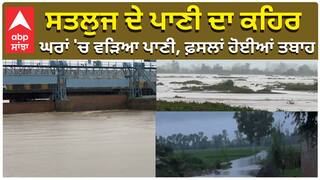 เจซเฉเจ เจจเฉ เจนเฉเฉเจน โเจ เจเจฟเจฐเฉ CRPF เจฆเฉ 22 เจเจตเจพเจจเจพเจ เจคเฉ เจคเจฟเฉฐเจจ เจเจฎ เจจเจพเจเจฐเจฟเจเจพเจ เจจเฉเฉฐ เจฌเจเจพเจเจ