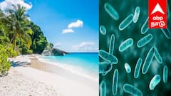 புதுச்சேரி கடற்கரையில் அதிர்ச்சி! கோலிபார்ம் பாக்டீரியா 16 மடங்கு உயர்வு - காரணம் என்ன?