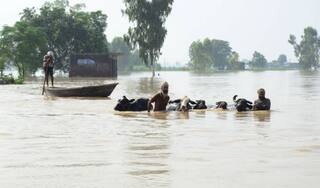 ਵੱਡੀ ਖ਼ਬਰ ! ਭਾਖੜਾ ਨਹਿਰ 12 ਥਾਵਾਂ 'ਤੋਂ ਧਸੀ, ਹੜ੍ਹਾਂ ਦੀ ਲਪੇਟ 'ਚ ਆਏ 12 ਜ਼ਿਲ੍ਹੇ, CM ਭਗਵੰਤ ਮਾਨ ਨੇ ਬੁਲਾਈ ਉੱਚ ਪੱਧਰੀ ਮੀਟਿੰਗ