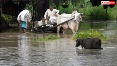 हरियाणा: हथिनीकुंड बैराज से छोड़ा गया पानी बना आफत, कई गांव जलमग्न, लोगों की बढ़ी परेशानी