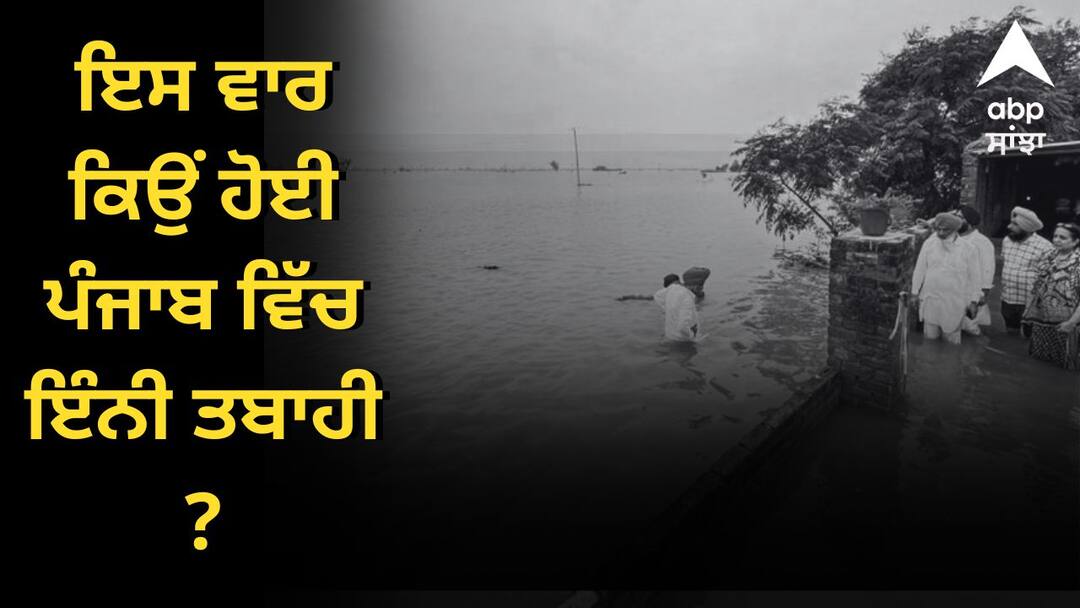 Why was there so much destruction in Punjab this time ਮੀਂਹ, ਨਦੀਆਂ 'ਚ ਊਫਾਨ, ਹੜ੍ਹ..., ਪਿੰਡਾਂ ਤੋਂ ਲੈ ਕੇ ਸ਼ਹਿਰ ਹੋਏ ਪਾਣੀ-ਪਾਣੀ, ਇਸ ਵਾਰ ਕਿਉਂ ਹੋਈ ਪੰਜਾਬ ਵਿੱਚ ਇੰਨੀ ਤਬਾਹੀ ?