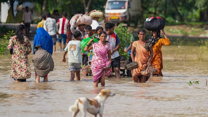 Thousands of residents in low-lying areas of Delhi scrambled to save their homes and belongings. Image: PTI