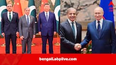 ‘ভারতের সঙ্গে আপনাদের যে সম্পর্ক…’, মোদি ফিরে আসতেই চিনে পুতিন ও শি-র সঙ্গে বৈঠক পাক প্রধানমন্ত্রীর, ছিলেন আসিম মুনিরও