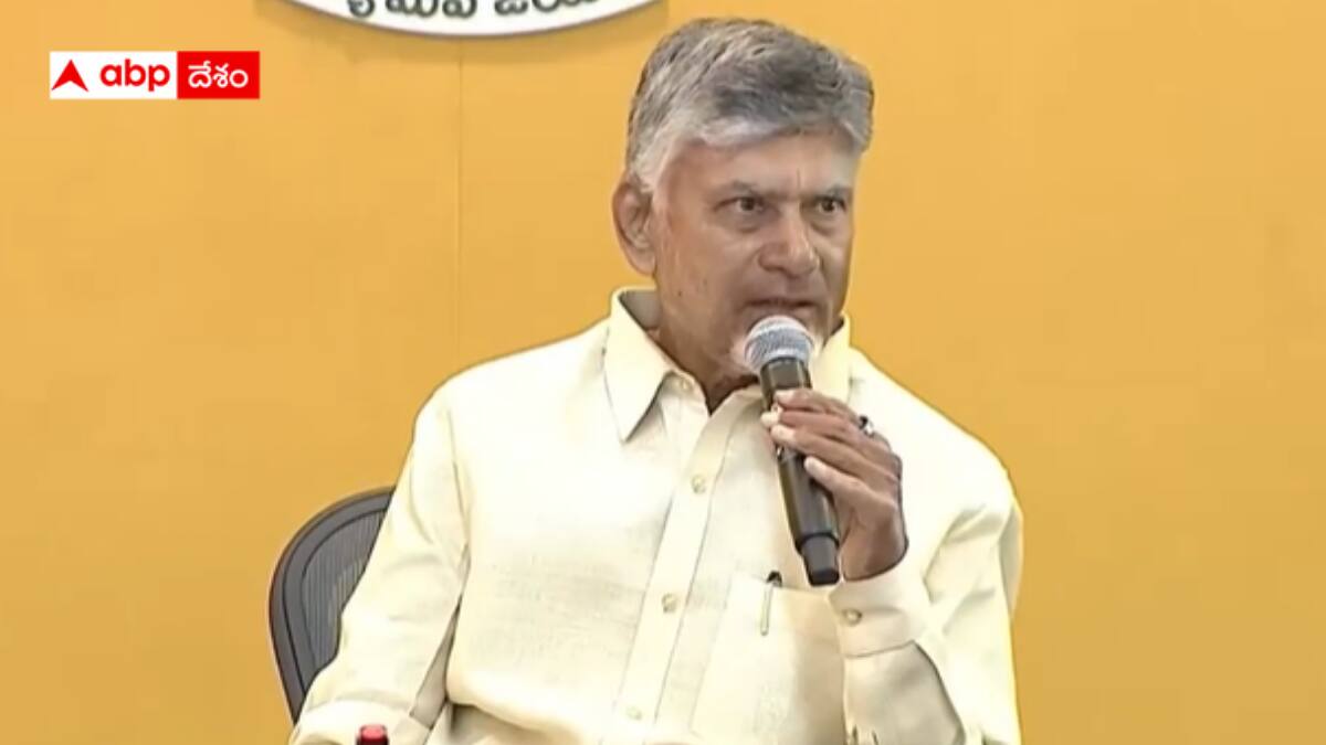 Chandrababu on YSRCP: బుద్దిలేదా.. ప్రతిపక్షహోదా ఇవ్వాల్సింది ప్రజలు - వైఎస్ఆర్‌సీపీకి చంద్రబాబు చీవాట్లు