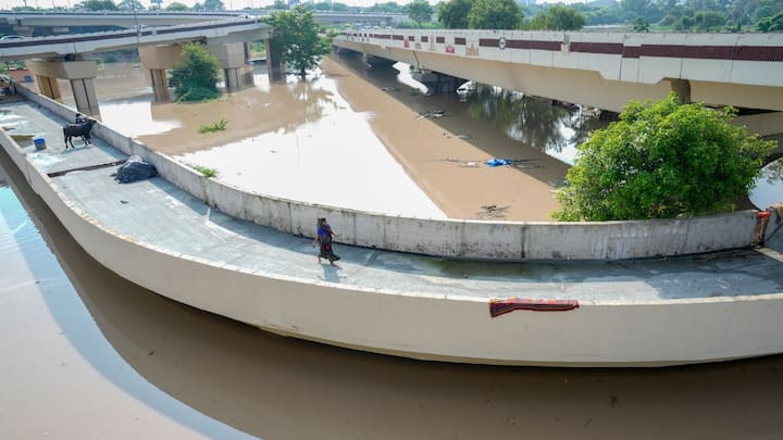 In Madanpur Khadar, families whose jhuggis were swallowed by the flood are now living under old plastic sheets strung along the roadside. Image: PTI