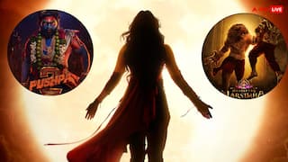 24 घंटे में हिंदी दर्शक करेंगे साउथ फिल्म की किस्मत का फैसला, 'पुष्पा 2' जैसी ब्लॉकबस्टर बना देंगे!