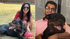 Delhi HC Rebukes Mahua Moitra Over Dog Custody Battle With Lawyer: 'Why Don't You Sit Together...'
