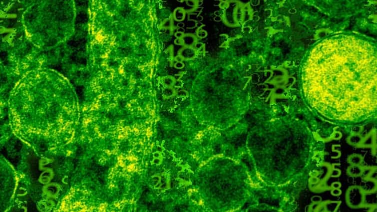 Kerala Doctors Achieve World’s First Successful Treatment Of Dual Amoebic, Fungal Brain Infection