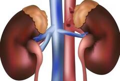 કિડનીને ખરાબ થતી બચાવવા માટે રોજ કેટલું પાણી પીવું જોઈએ ? જાણો અહીં