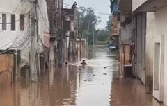 ਟਾਂਗਰੀ ਨਦੀ ਹੋਈ ਓਵਰਫਲੋਅ, ਕਲੋਨੀਆਂ ਵਿੱਚ ਭਰਿਆ ਪਾਣੀ, ਲੋਕ ਨੇ ਛੱਡੇ ਆਪਣੇ ਘਰ, SDRF ਤਾਇਨਾਤ, ਪਟਿਆਲਾ ‘ਚ ਵੀ ਅਲਰਟ