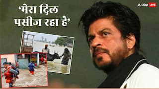'पंजाब का जज्बा अटूट है...', बाढ़ के हालात देख दुखी हुए शाहरुख खान, बोले- 'दुआएं और हिम्मत भेज रहा हूं'