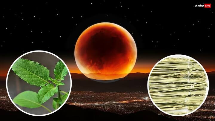 Chandra Grahan 2025: शास्त्रों में चंद्र ग्रहण अशुभ माना गया है, इस साल 7 सितंबर को भारत में ग्रहण दिखाई देगा. पुराणों ग्रहण की अशुभता से बचने के लिए तुलसी और कुशा का महत्व बताया गया है जानें.