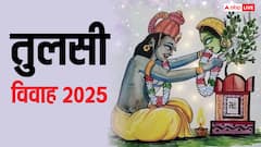 कार्तिक मास में तुलसी विवाह कब, जानें शुभ मुहूर्त, पूजा विधि और नियम