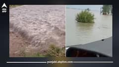 Punjab Weather Today: ਪੂਰੇ ਸੂਬੇ 'ਚ ਹੜ੍ਹ, ਅੱਜ ਭਾਰੀ ਮੀਂਹ ਦੀ ਚੇਤਾਵਨੀ; 1400 ਪਿੰਡ ਪਾਣੀ ਵਿੱਚ ਡੁੱਬੇ, 30 ਮੌਤਾਂ, ਤਰਨਤਾਰਨ ਹਾਈ ਫਲੱਡ ਜ਼ੋਨ ਘੋਸ਼ਿਤ, ਫੌਜ ਅਤੇ NDRF ਤਾਇਨਾਤ