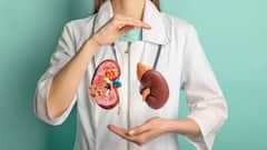 Kidney Stones:  શિયાળામાં આ 6 કામ કરવાથી કિડનીમાં નહીં બને પથરી, ડોક્ટરો પણ આપે છે સલાહ