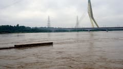 Woman Jumps Into Swollen Yamuna From Delhi's Signature Bridge, Divers On Spot