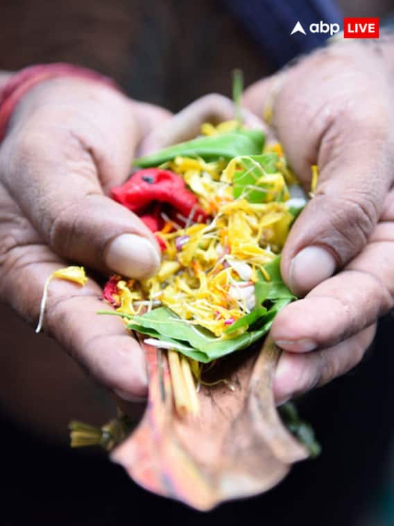 पितृपक्षात पितरांचं श्राद्ध न केल्यास काय होईल?