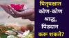 Pitru Paksha 2025: मुलगा नसेल तर, पितृपक्षात कोण पिंडदान करू शकते? पिंडदान करण्याचा अधिकार नेमका कोणाला? शास्त्रात म्हटलंय..