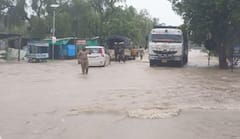 Gujarat Rain: રાજ્યમાં ફરી વરસશે ધોધમાર વરસાદ, આજે છ જિલ્લામાં ઓરેન્જ તો 10 જિલ્લામાં યલો એલર્ટ જાહેર