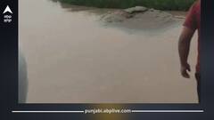 ਲੁਧਿਆਣੇ 'ਚ ਮੀਂਹ ਦਾ ਕਹਿਰ: ਸੜਕਾਂ 'ਤੇ ਪਾਣੀ ਭਰਿਆ, ਸਤਲੁਜ ਓਵਰਫਲੋ ਦੇ ਖਤਰੇ 'ਚ, ਬੁੱਢਾ ਦਰਿਆ ਦਾ ਪਾਣੀ ਦਾ ਪੱਧਰ ਵਧਿਆ