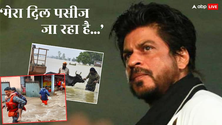 'पंजाब का जज्बा अटूट है...', बाढ़ के हालात देख दुखी हुए शाहरुख खान, बोले- 'दुआ और हिम्मत भेज रहा हूं'