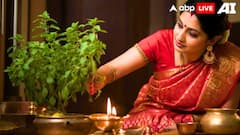 Tulsi Vivah 2025 — Know Date, Significance, Puja Vidhi And More
