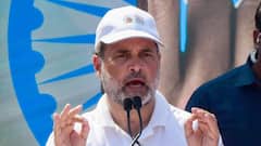 'Outright Murder': Rahul Slams PM Modi, MP CM Over Newborns’ Death After Rat Bites